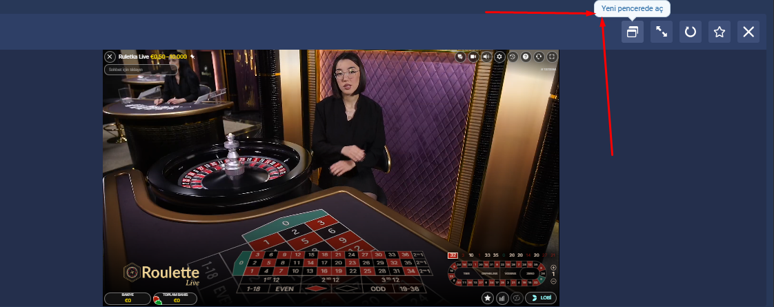 Program Görüntü 1